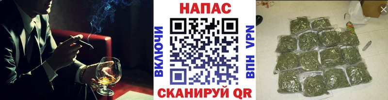 закладки  Знаменск  hydra как войти  Конопля конопля 